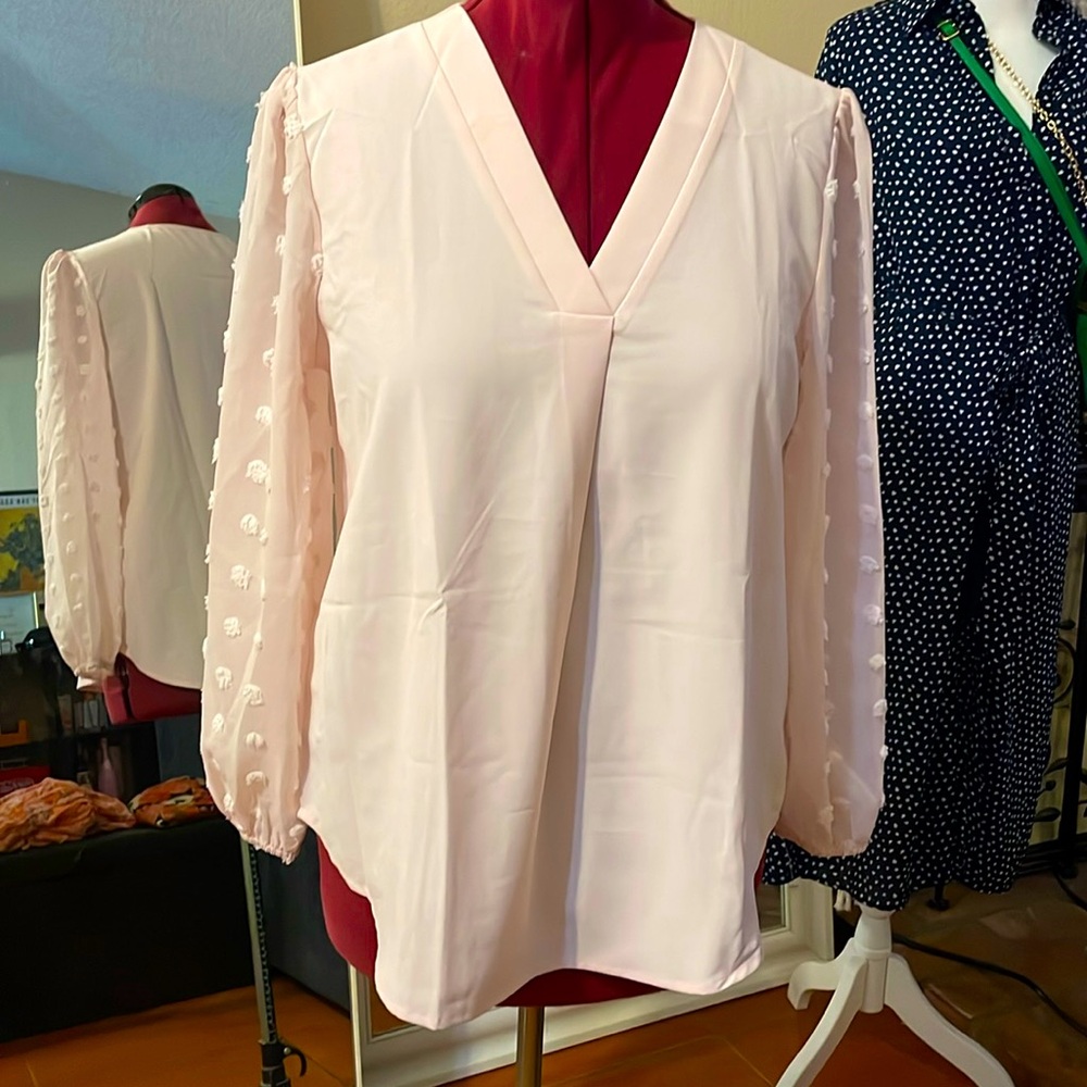 Pale pink long sleeves lace blouse